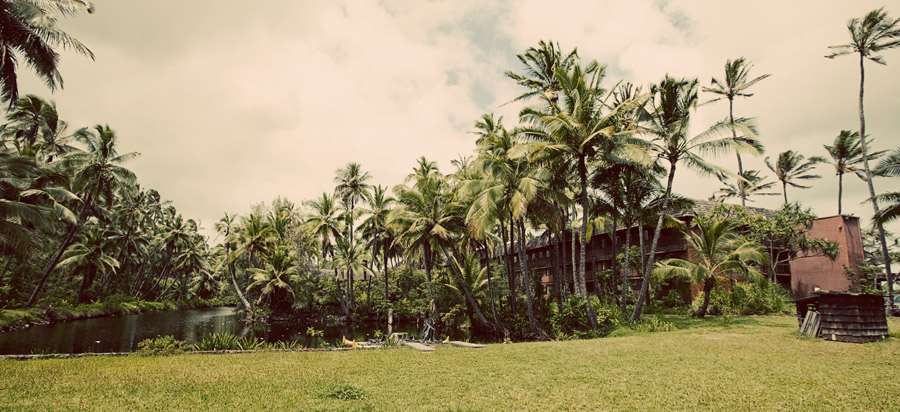 Coco Palms Kaua'i Travel Photography