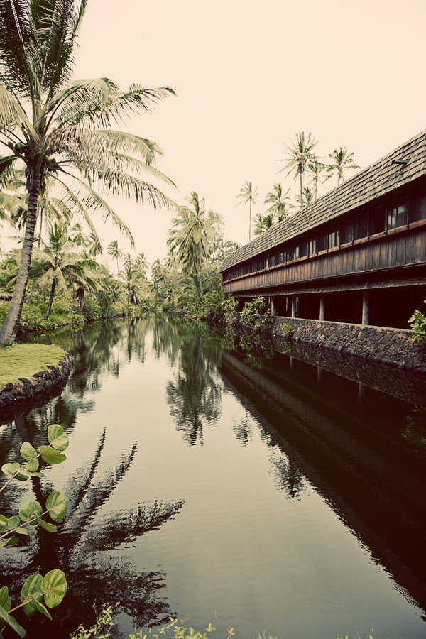 The Lagoon Coco Palms Kaua'i Travel Photography