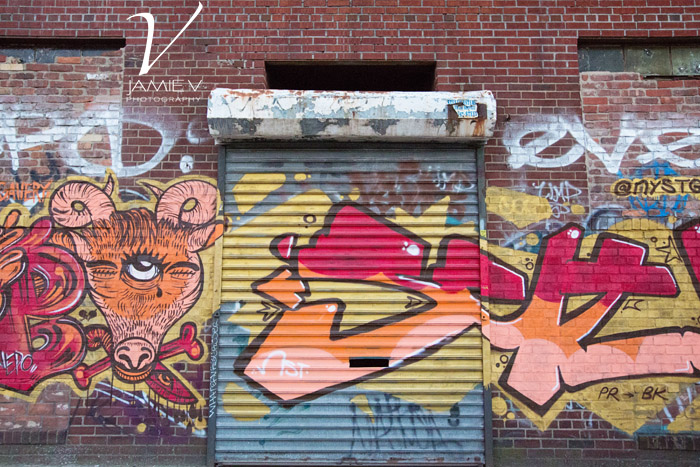 Williamsburg neighborhood graffiti New York City Photography