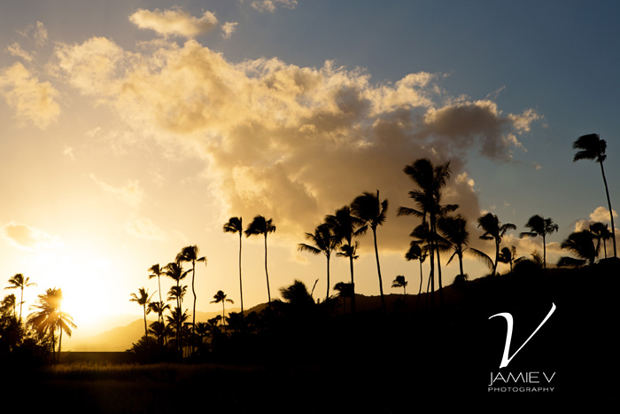 Kapa'a Kaua'i Hawai'i Travel Photography