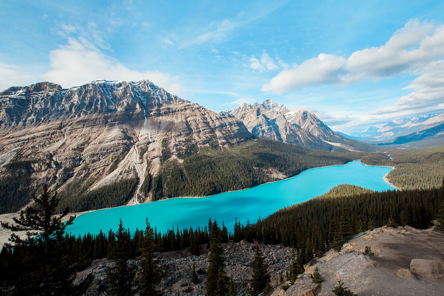 Peyto Lake | Banff National Park | Alberta, Canada | Jamie V Photography