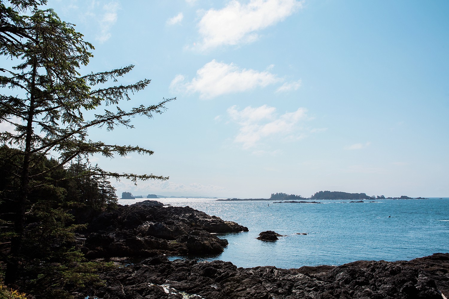 Wild Pacific Trail, Ucluelet | Vancouver Island | British Columbia, Canada | Jamie V Photography