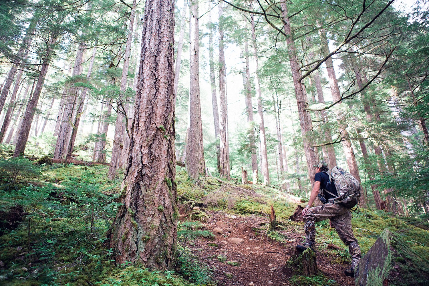 Flower Ridge Trail, Strathcona Provincial Park | Vancouver Island | British Columbia, Canada | Jamie V Photography