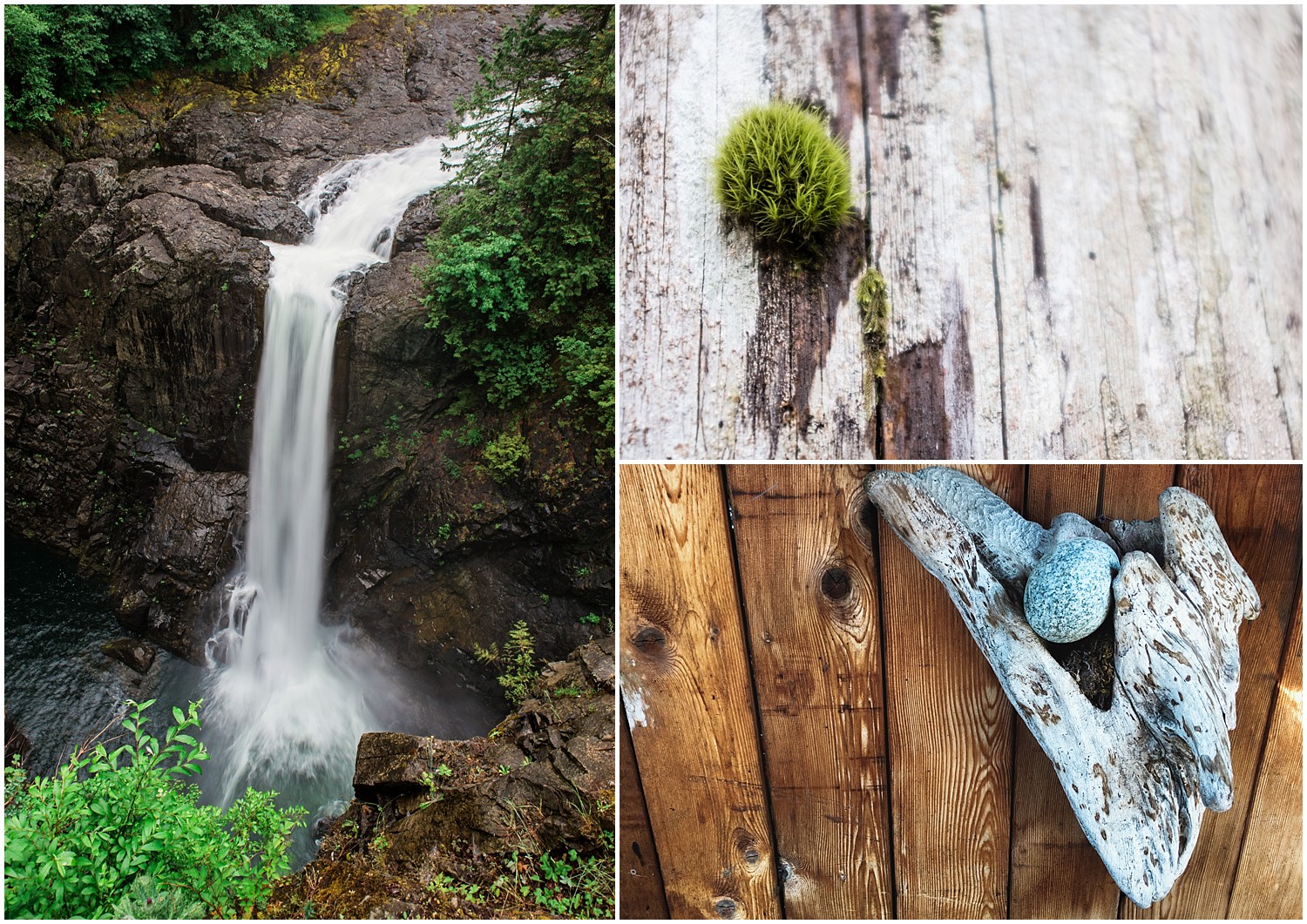 Elk Falls Provincial Park | Vancouver Island | British Columbia, Canada | Jamie V Photography