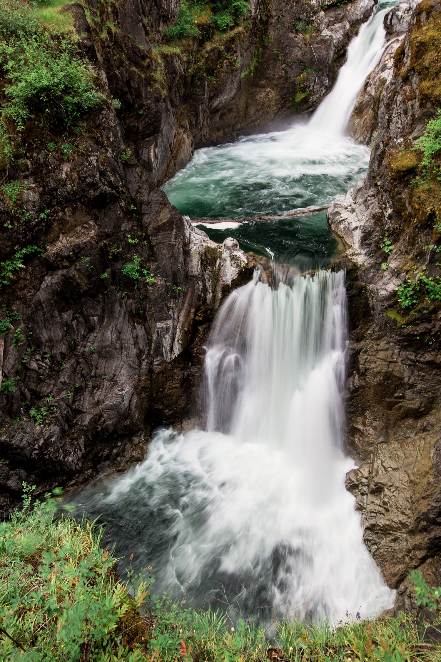 Little Qualicum Falls | Vancouver Island | British Columbia, Canada | Jamie V Photography