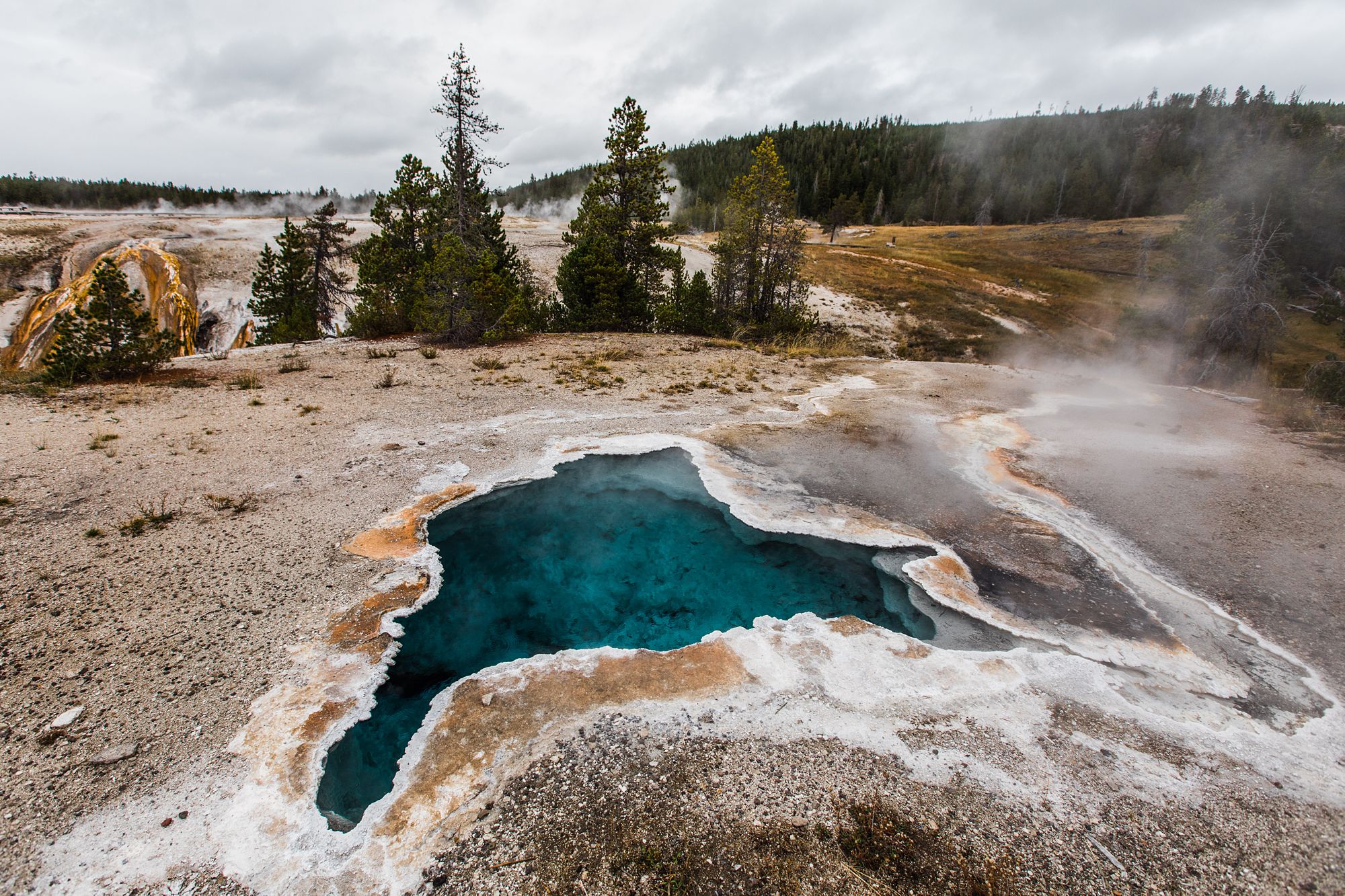 Blue-Star-Spring-Upper-Geyser-Basin-Yellowstone-National-Park