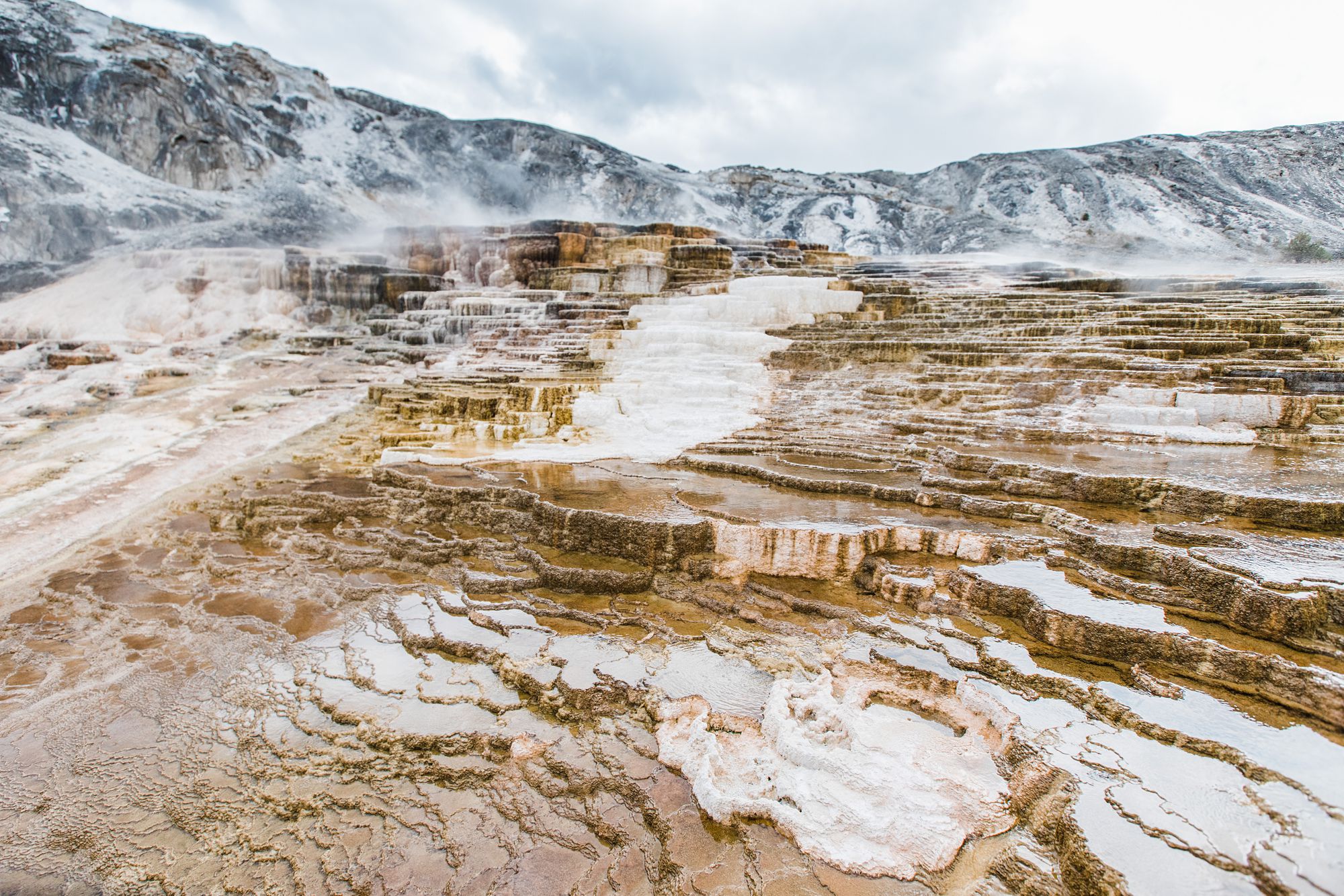 Minerva-Spring-Mammoth-Hot-Spring-Terraces-Yellowstone-National-Park