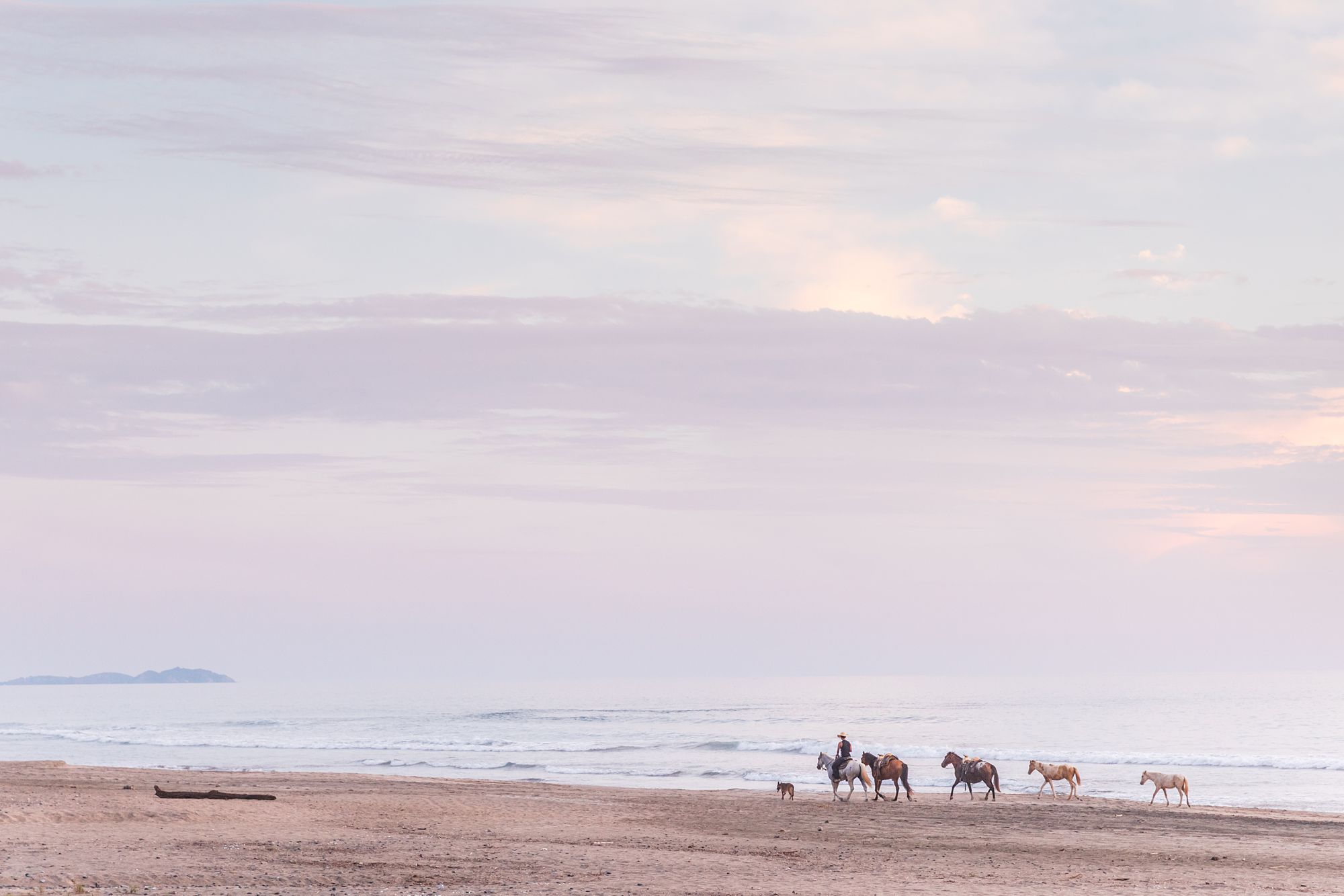 Beach-horses-Troncones-Guerrero-Mexico